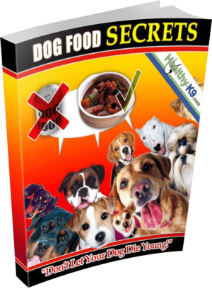 dogfoodsecrets1